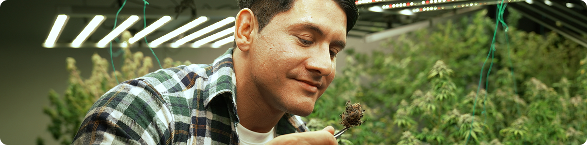 New Design Feature Img 5