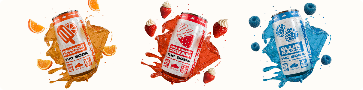 New Design Feature Img 6