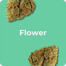 Homepage Indacloud 2025 37 New Design Flower