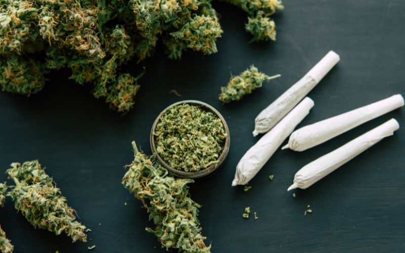 Understanding D11: Everything You Need To Know Now 3 D11 Thc