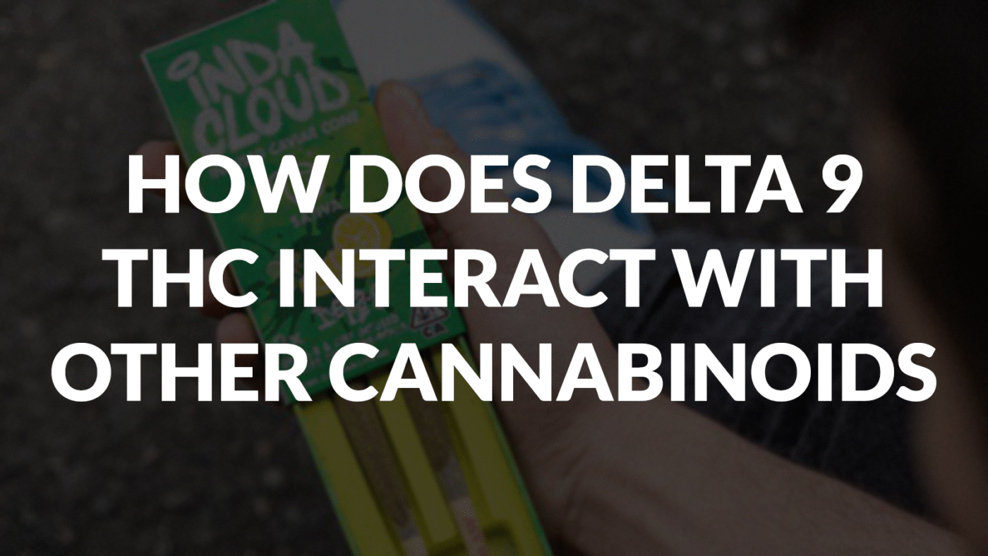 How Does Delta 9 Thc Interact With Other Cannabinoids? 12 How Does Delta 9 Thc Interact With Other Cannabinoids?