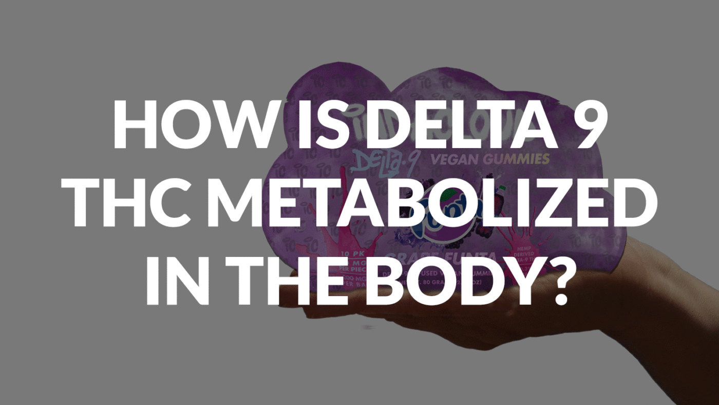 How Is Delta 9 Thc Metabolized In The Body? 16 How Is Delta 9 Thc Metabolized In The Body?