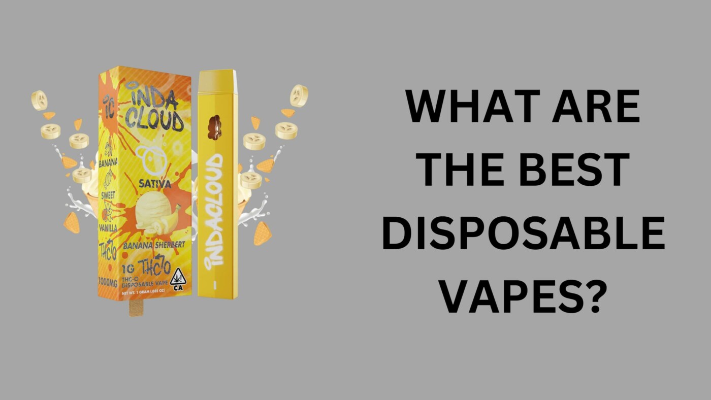 What Are The Best Disposable Vapes? 5 What Are The Best Disposable Vapes