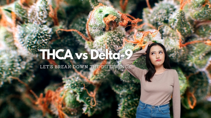 Thca Vs Delta 9: The Difference In These 2 Cannabis Cannabinoids 12 Thca Vs D9 Differences
