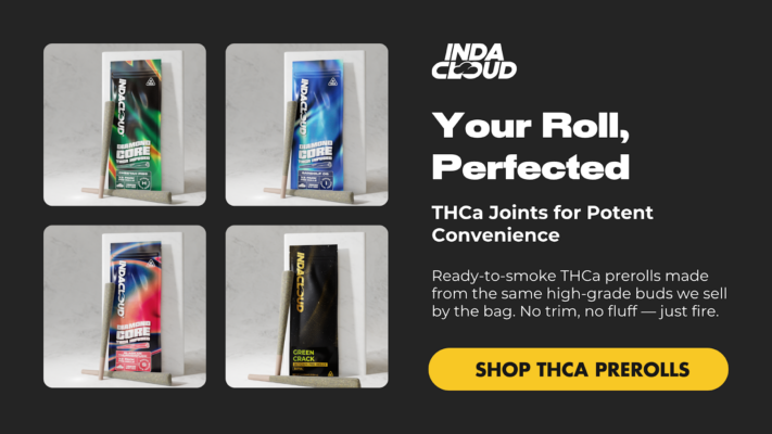 How Long Does Thca Stay In Your System? What You Should Know Before Your Next Break 3 Indacloud Thca Joints
