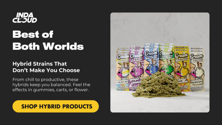 Check Out Indacloud Hybrid Strains